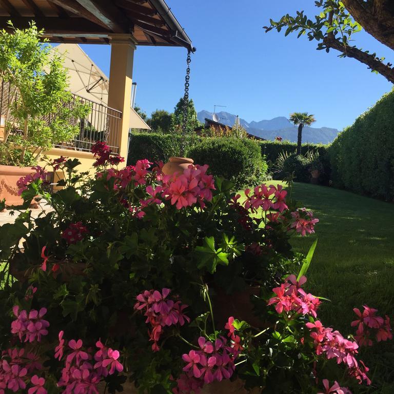 Relais Di Alice- Adults Only Bed and Breakfast Forte dei Marmi Exteriör bild